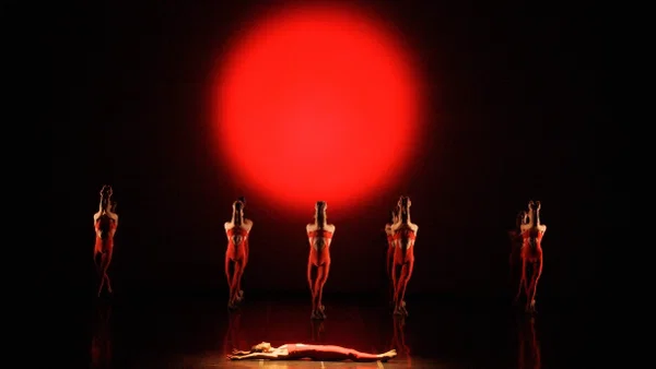 Béjart Ballet Lausanne Tickets at Forest National