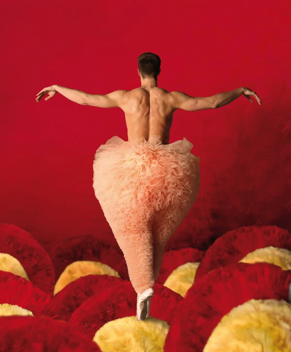 TUTU: Marseille's Arts Spectacle Awaits!