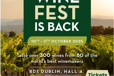 Dublin Wine Fest: O'Briens 2025