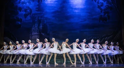 Swan Lake Ballet: Oldenburg's Royal Classical!