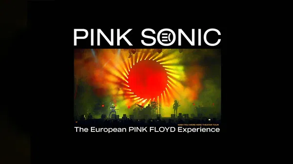 Pink Sonic Vintage Live at Teatro Crystal, Collecchio