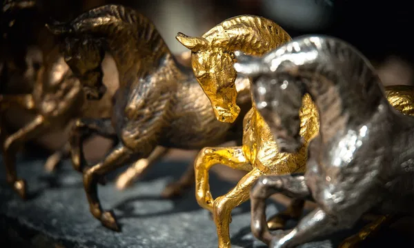 Weltmeisterschaft Junge Dressurpferde 2025 in Verden