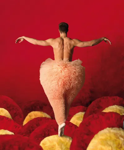 TUTU: Dance Sensation in Clermont Ferrand!