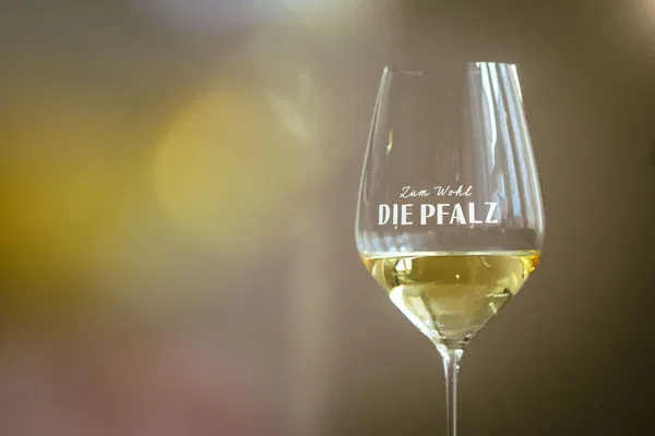 Wein am Dom 2026 Speyer Kombiticket