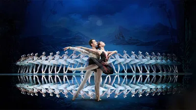 St. Pete Swan Lake: See Ballet Stars!