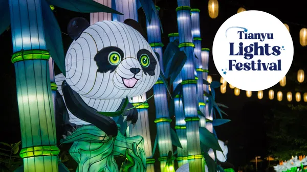 Tianyu Lights Festival Phoenix 2025 Tickets