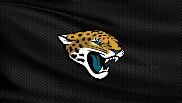 Jaguars vs Titans: AFC South Title Game Tickets