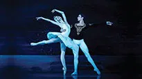Swan Lake Ballet Jacksonville | Moran Theater Tickets