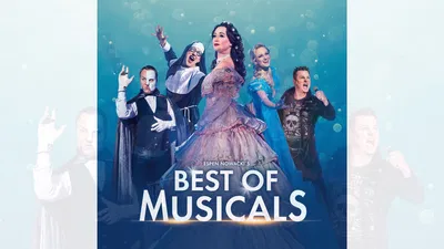 Bremen Musicals: 20+ Shows, 1 Unforgettable Night!