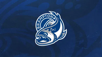 Steelheads Hockey Action in Brampton!