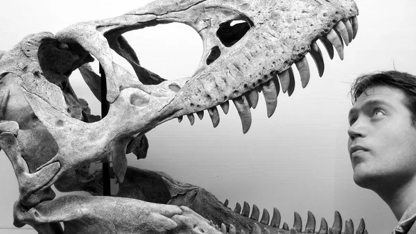 Book NatGeo Live: Untold Story of Sharks in Wilkes Barre