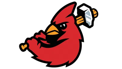 Cardinals vs Barnstormers: IBL Playoffs!