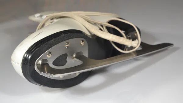 Løvenes Konge: Bergen Kunstløpklubb at Bergenshallen