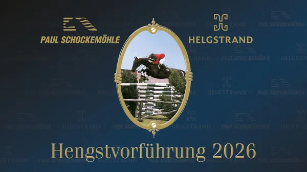 Hengstvorführung Schockemöhle & Helgstrand – Verden