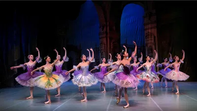 Enchanting Ballet Dreams Gala in Mons