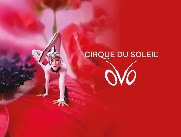 Cirque du Soleil OVO Tickets in Stuttgart