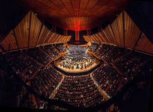 Orchestra Wellington Live at Michael Fowler Centre