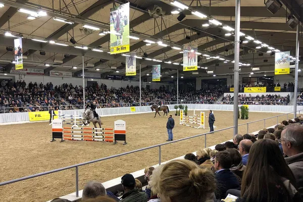 Hannoveraner Privathengstschau Verden Tickets & Info