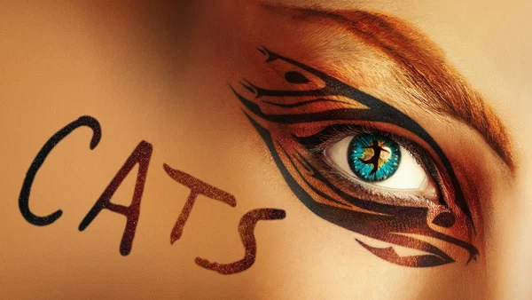 Cats Musical Dublin Tickets: Book Now