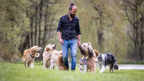 Sami El Ayachi: Der zugewandte Hund! in Kiel