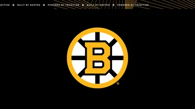 Bruins vs. Ducks: NHL Thrills in Boston!