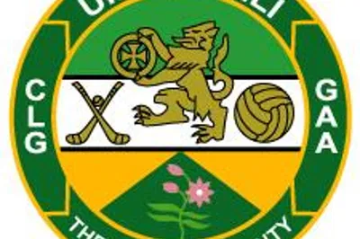 Offaly GAA Clash: Drumcullen vs. Ballinamere!