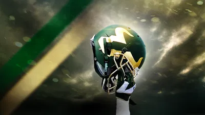 Bulls Clash: USF Football Showdown Against Rice at Raymond James Stadium!