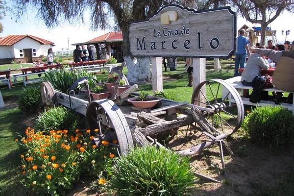 Uncork Baja: Wine & Cheese Route Adventure in Ojos Negros Valley