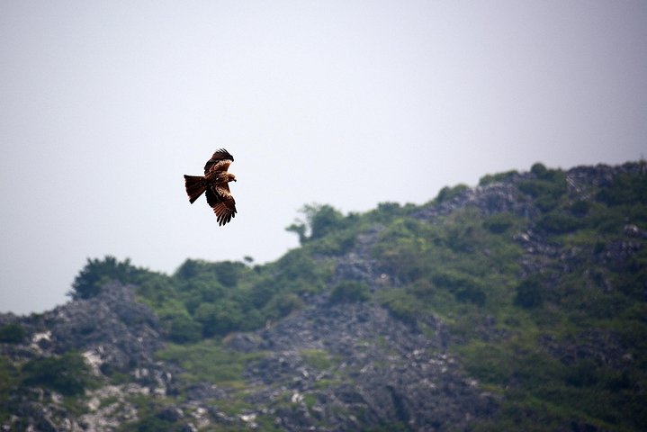 Experience Image img2