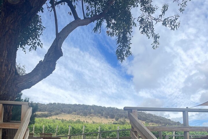 Experience Image img3