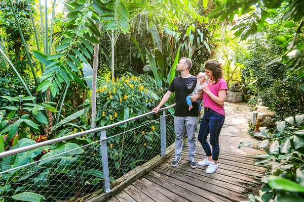 Explore Hannover's Underwater Kingdom: Dive into SEA LIFE!