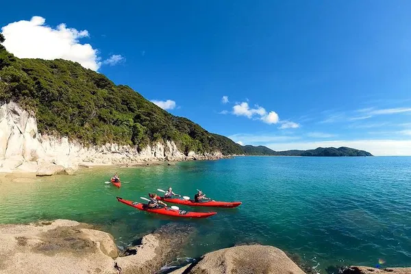 Oarsome Marine Reserve: Kayak Adventure to NZ Fur Seal Haven