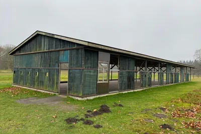 Westerbork & Hidden History: A Reflective Journey from Amsterdam