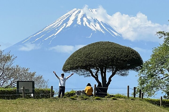 Step Back in Time: Hakone Hachiri Heritage Hike with Expert Guide