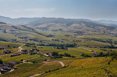 Unveiling Beaujolais: A Luxurious Private Wine Tour from Lyon
