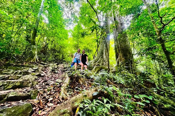 Conquer Cat Ba: A Full-Day Jungle Hiking & Lan Ha Bay Adventure