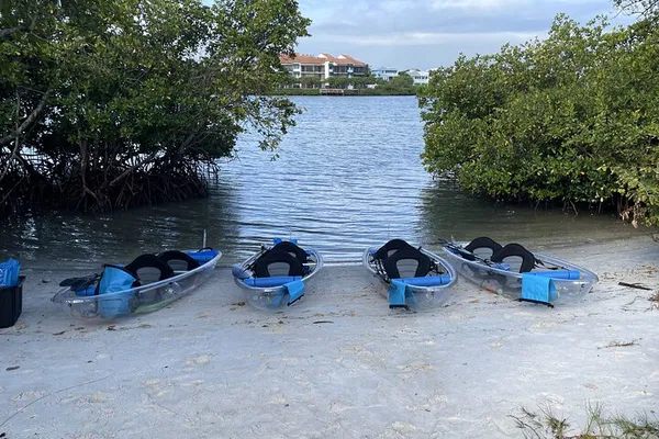 Jupiter Clear Kayak Tour: See Manatees & More!
