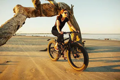 Camargue E-Bike Adventure: Explore Provence's Wild Side!
