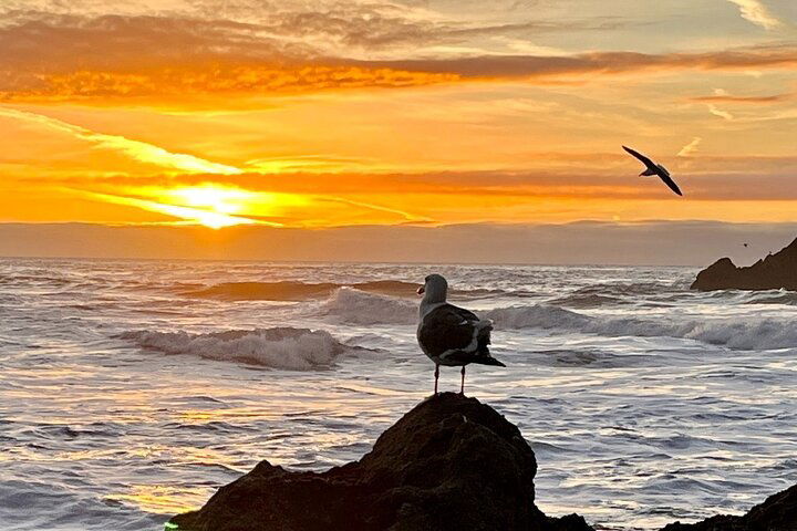 Experience Image img4