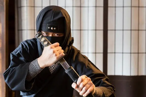 Nagoya Ninja & Tokaido Road: Myths, Mystery Day Trip