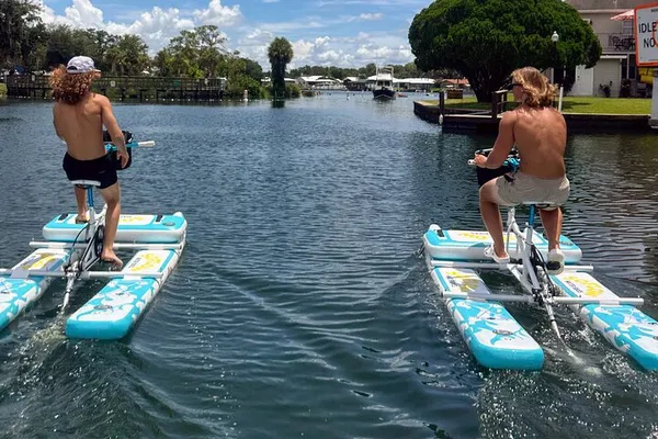 Crystal River Water Bike Rental: See Manatees!