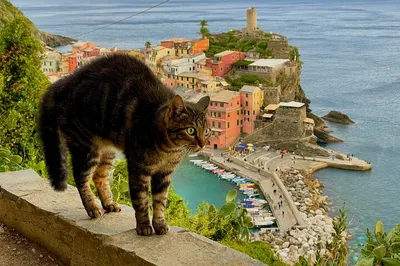 Cinque Terre Private Tour: See Italy's Coast!