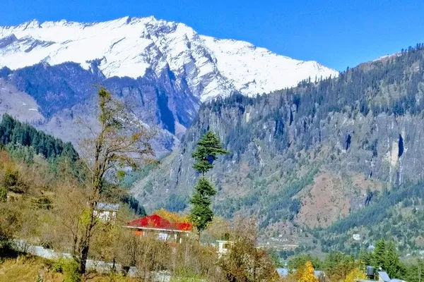 Conquer Manali's Heights: A Personalized Hiking Adventure