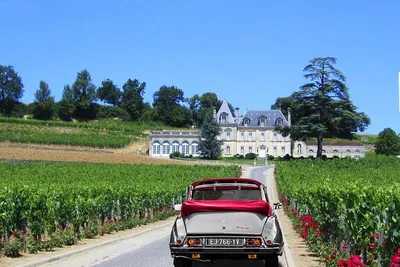 Saint-Émilion Wine Tour: Presidential Style in a Vintage Citroën!