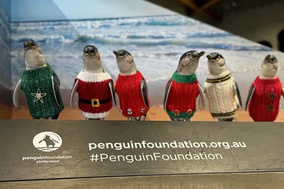 Penguin Parade & Wildlife: Private Phillip Island Tour