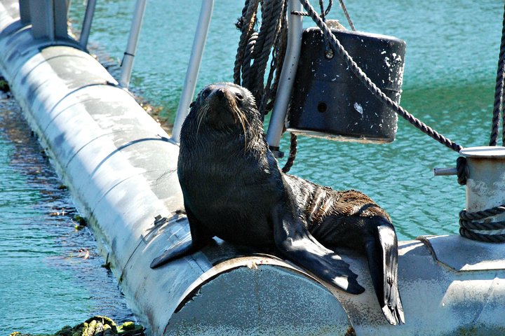 Experience Image img1