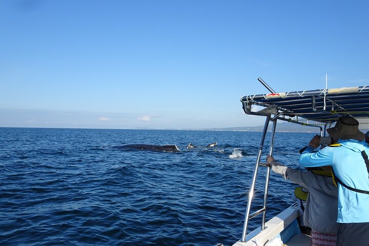 Experience Image img1