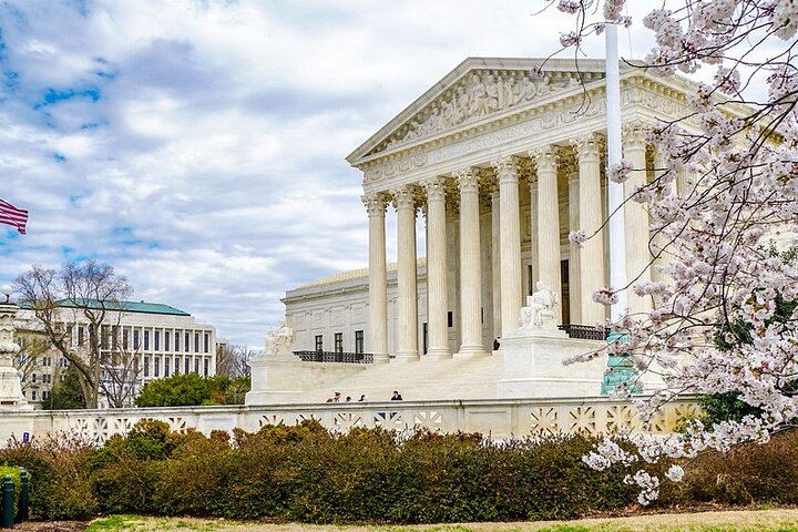 Luxury Washington D.C. Private Tour from NYC: History & Comfort