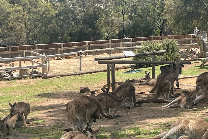 Experience Image img1