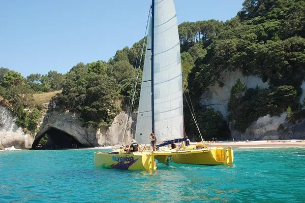 Morning Glory Sail: Discover Cathedral Cove's Beauty